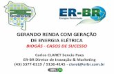 GERANDO RENDA COM GERAÇÃO DE ENERGIA ELÉTRICApecnordestefaec.org.br/2017/wp-content/uploads/2015/06/Gerando... · CONSÓRCIO ENTRE PRODUTORES DE ENERGIA E CONSUMIDORES NEGOCIAÇÃO