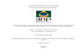 REPÚBLICA FEDERATIVA DO BRASIL MINISTÉRIO DE MINAS …rodadas.anp.gov.br/arquivos/Round4AM/Edital/Modelo_contrato_AM4... · A AGÊNCIA NACIONAL DO PETRÓLEO, GÁS NATURAL E BIOCOMBUSTÍVEIS
