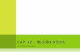 CAP. 22 – REGIÃO NORTE - analisegeografica.webnode.com.br · 1 –A CONQUISTA DA AMAZÔNIA Com cerca de 6,5 milhões de km² que abrangem 8 países –Brasil, Peru, Bolívia, Equador,
