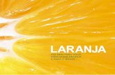LARANJA - citrusbr.com.brcitrusbr.com.br/download/biblioteca/Folheto_CitrusBR.pdf · o de laranja. Nos principais mercados há uma forte concentração dos ... 2,6% SUCOS E NÉCTARES,