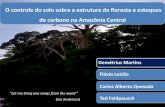 O controle do solo sobre a estrutura da floresta e ... · O controle do solo sobre a estrutura da floresta e estoques de carbono na Amazônia Central Demétrius Martins Flávio Luizão
