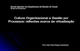 Cultura Organizacional e Gestão por Processos: reflexões ...esmec.tjce.jus.br/wp-content/uploads/2016/06/joao-paulo.pdf · Aidar, Brizola, Prestes Motta e Wood Jr. (1995) 2. GESTÃO