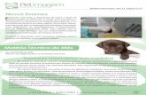 Matéria Técnica do Mês Tumores mamários em cadelas informativo... · acompanhar o tratamento do hipoadenocorticismo e hi-peradrenocorticismo em cães e gatos. Além disto, busca-