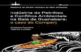 INDÚSTRIA DO PETRÓLEO E CONFLITOS - br.boell.org · RESUMO EXECUTIVO A Missão “Indústria do Petróleo e Conflitos Ambientais na Baía de Guanabara: o caso do Comperj”, realizada