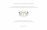 ANA KARINA VALENTE DE ALMEIDA - bdigital.ufp.ptbdigital.ufp.pt/bitstream/10284/5334/1/Dissertação 20096.pdf · as estratégias de gestão de conflitos Quadro 18 – Diferenças