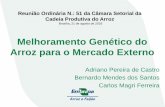 Melhoramento Genético do Arroz para o Mercado Externo · 2018-08-21 · Melhoramento Genético do Arroz para o Mercado Externo Adriano Pereira de Castro Bernardo Mendes dos Santos