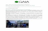 Relatório de actividades - gaia.org.pt³rio... · dos combustíveis fosseis em Portugal, com a presença da PALP ... sobre os problemas de extracção de combustíveis fósseis ao