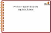 Professor Sandro Caldeira Inquérito Policial · A investigação criminal pode ser realizada por meio de outros órgãos, como por exemplo: Comissões Parlamentares de Inquérito,