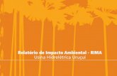 Relatório de Impacto Ambiental - RIMA Usina Hidrelétrica ...licenciamento.ibama.gov.br/Hidreletricas/Urucui/URU_RIMA UHE... · Ambiental (EIA) e Relatório de Impacto Ambiental