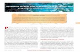 Tratamento de água com coagulante biodegradável: uma ...qnesc.sbq.org.br/online/qnesc38_4/13-EEQ-119-15.pdf · nos processos de tratamento de água. Nessa perspectiva, este trabalho