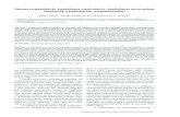 Sistema respiratório de Amphisbaena vermicularis e … · A morfologia macro e microscópica da traqueia e pulmões de Amphisbaena vermicularis Wagler, 1824 e Amphisbaena microcephala