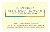 DESAFIOS DA ASSISTÊNCIA TÉCNICA E EXTENSÃO RURAL · 2006-04-06 · desafios da assistÊncia tÉcnica e extensÃo rural ... pobreza no brasil fenÔmeno marcadamente rural quase