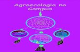 Agroecologia no Campus - apetecaapua.files.wordpress.com · ESPIRAL DE ERVAS O que é? A Espiral de ervas é uma técnica de plantio de ervas medicinais, que Apresenta formato circular.