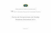 Termo de Compromisso de Gestão Relatório Semestral 2011 · vasos de pressão, dutos, interação fluido-estruturas, processos de recuperação de petróleo. Na formação de pesquisadores,