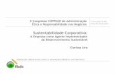 CL Sust Corp COPPEAD (7out04) - fbds.org.br · Sustentabilidade Corporativa no Brasil Estudos de Caso — Papel e Celulose Mineração Óleo e Gás Conclusão Anexo −Definições