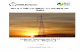 RELATÓRIO DE IMPACTO AMBIENTAL RIMA - miga.org · Relatório de Impacto Ambiental – RIMA Linha de Transmissão 500 kV Paracatu 4 –Pirapora 2 5 Superintendência Regional de Meio