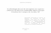 Ecofisiologia do uso de nitrogênio em espécies arbóreas da ...arquivos.ambiente.sp.gov.br/pgibt/2015/12/Marcelo_Morena_MS.pdf · arginina, Asn – % de N na seiva do xilema sob
