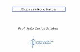 Prof. João Carlos Setubal - iq.usp.br · Expressão gênica • Expressão de um gene – criação de um mRNA maduro • Em geral é seguido pela expressão da proteína correspondente