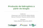 Produção de Hidrogênio a partir do Biogás - embrapa.br¡sFert... · • Atividade 1: Avaliar viabilidade técnica do processo de reforma do biogás. • Informações obtidas