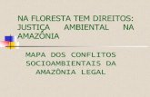 NA FLORESTA TEM DIREITOS: JUSTIÇA AMBIENTAL NA … · O que é o “Mapa dos Conflitos Socioambientais da Amazônia Legal É um dos instrumentos pedagógicos da Campanha “Na Floresta