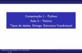 Computação 1 - Python Aula 3 - Teórica Tipos de dados ...jacarepagua.dcc.ufrj.br/~ladybug/aulas-python1/aula3_teorica.pdf · Computac˜ao 1 - Python Aula 3 - Teo´rica Tipos de