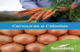 Cenouras e Cebolasseminisbrazil.s3.amazonaws.com/wp-content/uploads/2016/03/Catálogo... · Dados obtidos na região de Cristalina-GO (2013). (2) ... HR - Pt e Foc. (1) ... tipo caixa