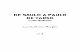 DE SAULO A PAULO DE TARSO - espiritismoativo.weebly.comespiritismoativo.weebly.com/uploads/3/1/4/5/31457561/de_saulo_a... · 4.1 – A prevalência do macrocosmo espiritual ... 7