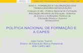 POLÍTICA NACIONAL DE FORMAÇÃO E A CAPESconae.mec.gov.br/images/stories/pdf/pdf/apresentacoes/politica... · Diretor de Educação Básica Presencial DEB/CAPES/MEC POLÍTICA NACIONAL