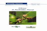 Citros: A Podridão Floral - Principal - Agropedia brasilisainfo.cnptia.embrapa.br/.../44463/1/...A-PODRIDAO-FLORAL-FL-13125a.pdf · República Federativa do Brasil Presidente Fernando