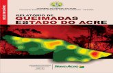 1. Situação Hidrometeorológica 2.1 Risco de Fogo 3 ...imc.ac.gov.br/wp-content/uploads/2016/11/Relatorio...Os focos de calor nos estados da Amazônia Legal para o período 01.01
