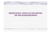 PRINCIPAIS TIPOS DE MUTANTES EM MICRORGANISMOS · Mutantes auxótróficos são microrganis-mos que não crescem em meio mínimo, em oposição à linhagem original, chamada de prototrófica.