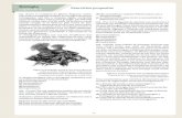 Biologia capítulo Exercício opostos - BFS Bureau Digital __1o EM PROP 2 B2.pdf · ... em que apenas uma delas se ... na qual o fungo é prejudicado pela ... Quais os organismos