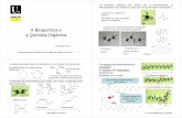 A Bioquimica e a Quimica Organica vs02 - users.med.up.pt · A oxidação de grupos aldeído origina grupos carboxilo. Os compostos que têm grupos carboxilo são ácidos carboxílicos.
