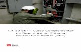 NR-10 SEP - Curso Complementar de Segurança no Sistema ... · NR-10 – SEP - Curso Complementar de Segurança no Sistema Elétrico de Potência (SEP) Página | 5 ÍNDICE 1. ORGANIZAÇÃO