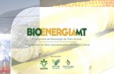 Juntamente com a Fiagril e o Summit Agricultural Group, a ...sistemafamato.org.br/portal/famato/bioenergiamt/palestras/palestra... · Excelente fonte de energia, aminoácidos digestíveis