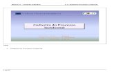 PJeJT Processo Incidental - Educação Corporativaead.csjt.gov.br/file.php/1/tutorial_pje_1_grau_pdf/mod_2_pdf/mod_2... · Selecione a aba Anexar Petições/Documentos para peticionar