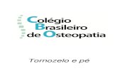 Tornozelo e pé - cbosteopatia.com.brcbosteopatia.com.br/wp-content/uploads/2017/10/Tornozelo_e_pe_8.pdf · O tornozelo compreende a região distal da perna entre os maléolos, além