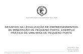 DESAFIOS NA LEGALIZAÇÃO DE EMPREENDIMENTOS DE … Richardson.pdf · Fonte: DNPM, “Universo da Mineração Brasileira”, 2007 Escola Politécnica da Universidade de São Paulo