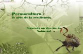 Apresentação do PowerPoint - unigaia-brasil.orgunigaia-brasil.org/Cursos/Apresenta/InspiracaoPC.pdf · Princípios da Permacultura Porque a Natureza é tão eficiente e produtiva,