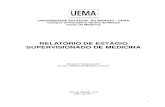 RELATÓRIO DE ESTÁGIO SUPERVISIONADO DE MEDICINAstatic.recantodasletras.com.br/arquivos/3117311.pdf · INTRODUÇÃO O presente Relatório de Estágio Supervisionado de Medicina descreve