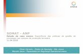 SOMAT-ANP · Revisão e implantação de procedimentos simples e funcionais (em andamento) Implantação de ferramenta de Verificação da Conformidade dos Procedimentos (previsto