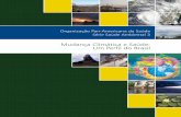 ISBN: 978-85-7967-007-7 Mudança Climática e Saúde: Um ... · ções sobre Saúde Ambiental intitulado “Mudança Climática e Saúde: Um perfil do Brasil”. Este documento foi