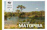 AGRICULTURA E ALIMENTOS 2017d3nehc6yl9qzo4.cloudfront.net/downloads/livreto_matopiba_pt_final.pdf · E ALIMENTOS 2017 BR Por dentro do MATOPIBA Foto: Tiago Forest. 2 3 INTRODUÇÃO
