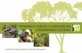 PreParando as florestas e a silvicultura Para o ... · e mais 150 consultores associados, estudantes de ... comércio e receitas para ... (de 0 ha em 1995 para 30 milhões de hectares