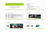 ToolsTools - UFRGSjohann/cmp241/aula01.intro.ppt.pdf · 3 CMP241 - Ferramentas para Síntese Automática de CIs - Reis/Johann - UFRGS 2009/1 Aula 01 : Slide 13 Ferramentas de Automação