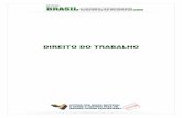 Apostila Direito Trabalho - brasilvestibulares.com Trabalho.pdf · 3 DIREITO DO TRABALHO 1. Definição Octavio Bueno Magano define o Direito do trabalho como o “conjunto de princípios,