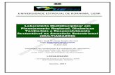 UNIVERSIDADE ESTADUAL DE RORAIMA, UERR - …multiamazon.weebly.com/uploads/1/7/8/0/17803349/projeto... · 2013-02-22 · interdisciplinares aos trabalhos e projetos do MULTIAMAZON.
