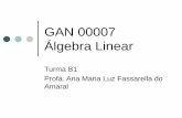 GAN 00007 Álgebra Linear - professores.uff.br · Bibliografia Básica: Álgebra Linear com Aplicações, H. Anton e C. Rorres, Bookman, 2001. Material de Apoio: Notas de Álgebra