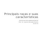 Principais raças e suas características - Portal da FEAfea.br/Arquivos/agronomia/Leandro/Principais_racas_e_suas_caract... · nos cruzamentos para produção de delgado, crista