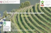 Enrelvamentos em vinha: principais desafios - ADVID · - Redução da actividade biológica do solo e da biodiversidade da exploração ... (maior presença de fungos antagonistas